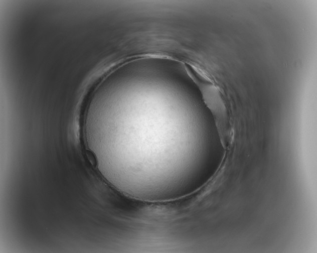 X0000089680294200707051612