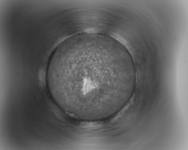 X0000089680297200707051611