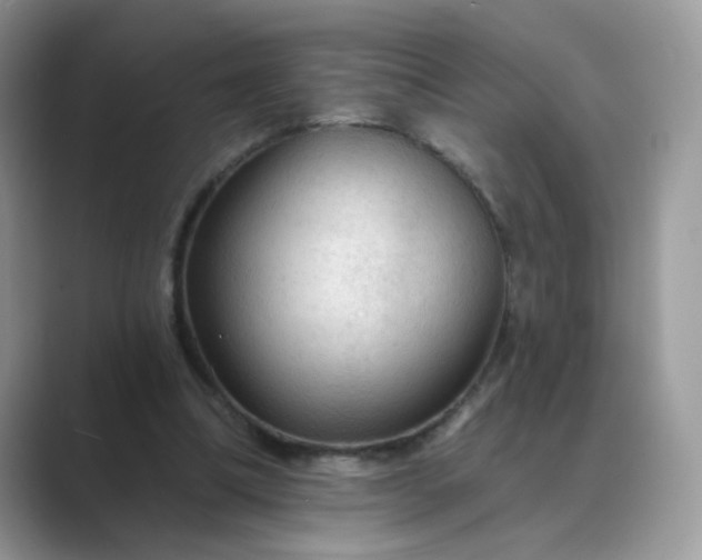 X0000089680298200707051611