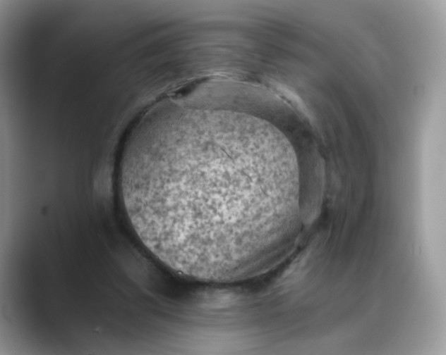 X0000089680299200707051611