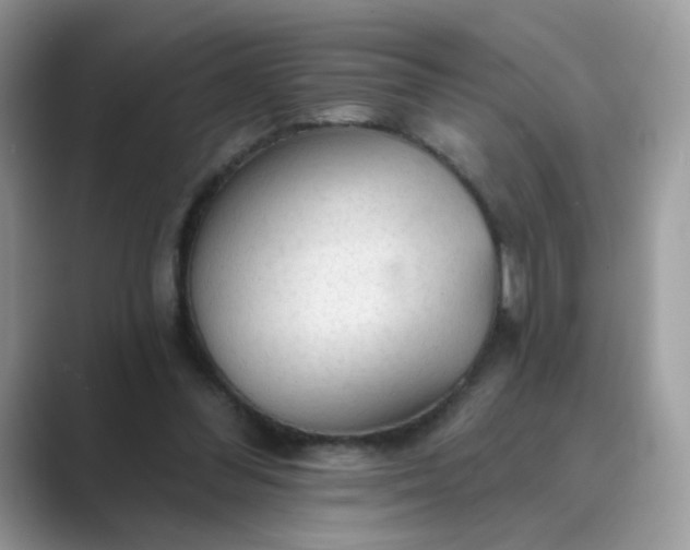 X0000089680300200707051611