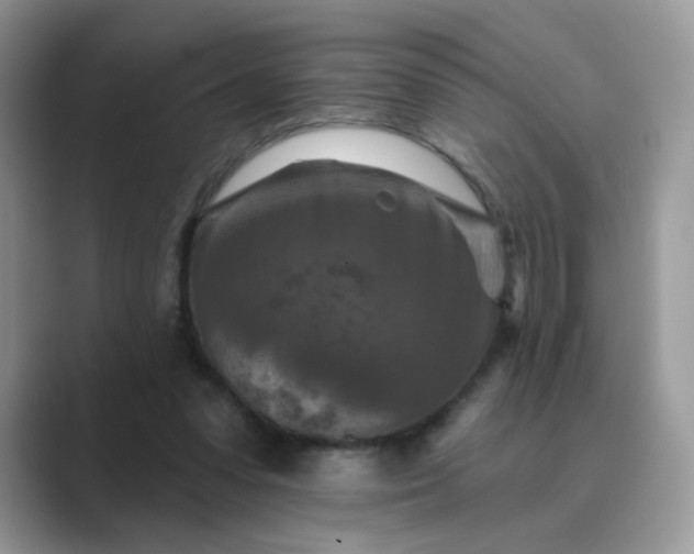 X0000089680303200707051611