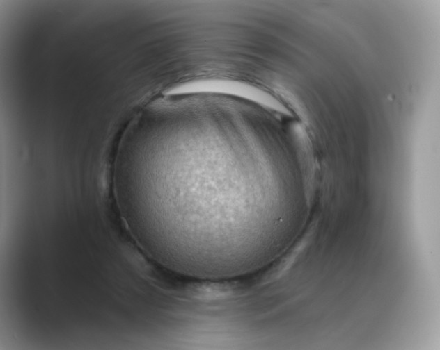 X0000089680305200707051611