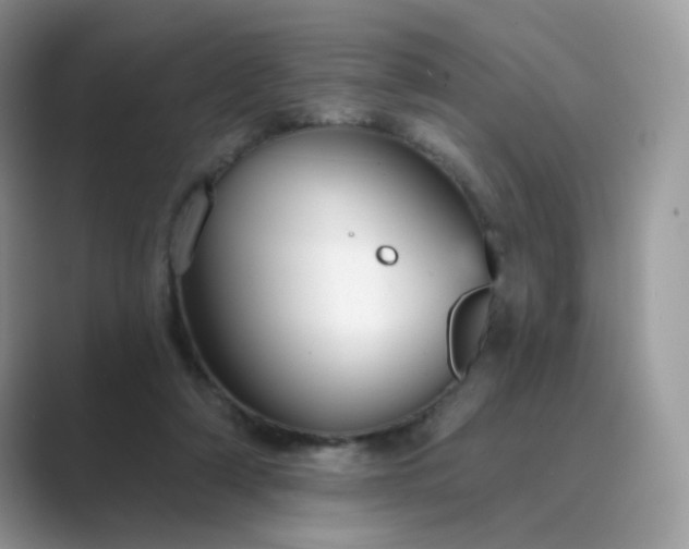 X0000089680306200707051611