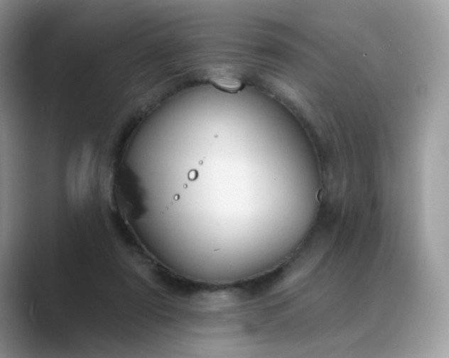 X0000089680307200707051611