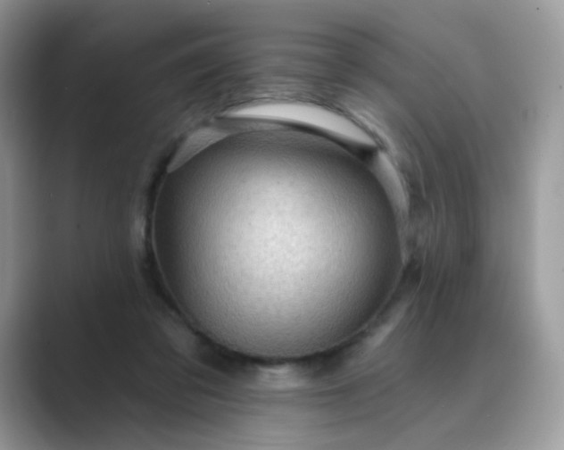 X0000089680309200707051611