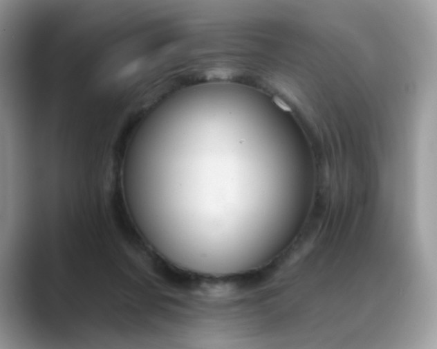 X0000089680311200707051611
