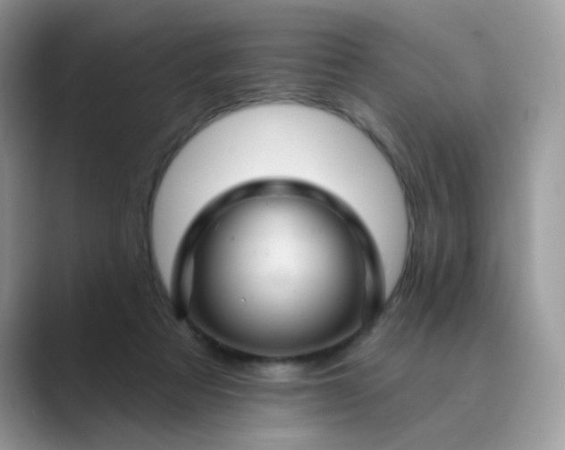 X0000089680313200707051611