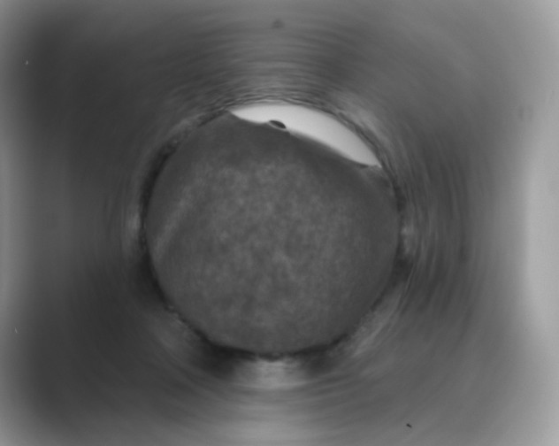 X0000089680314200707051611