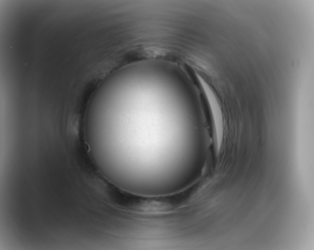 X0000089680315200707051611