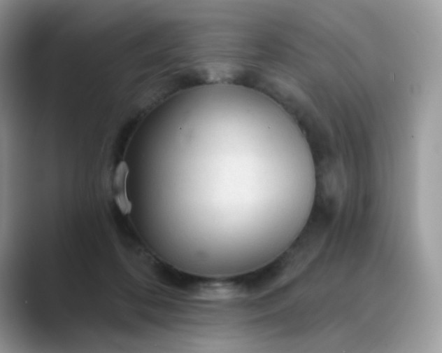 X0000089680316200707051611