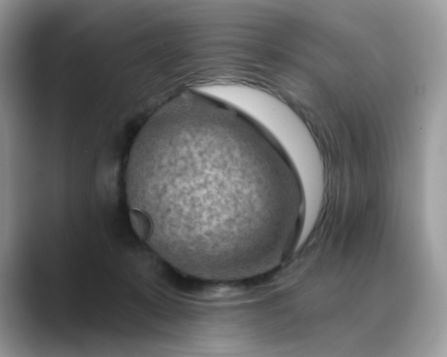 X0000089680319200707051611