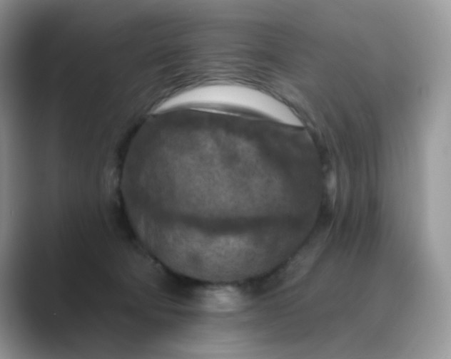 X0000089680322200707051611