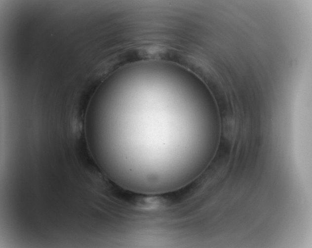 X0000089680324200707051611