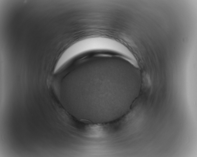 X0000089680325200707051611