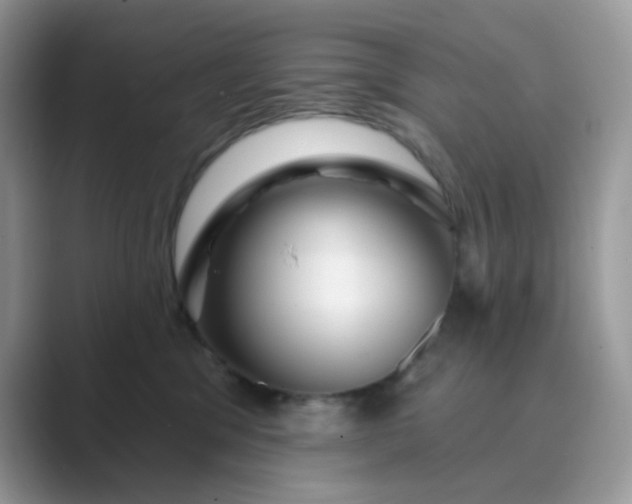 X0000089680329200707051611