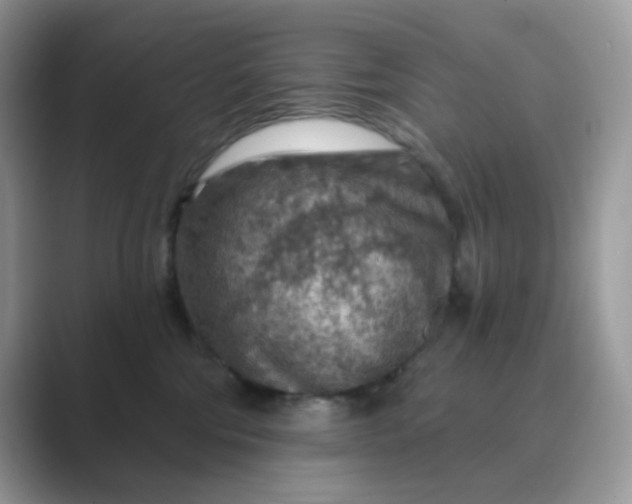 X0000089680330200707051611