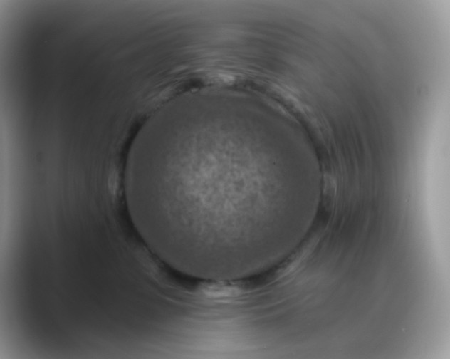 X0000089680331200707051611