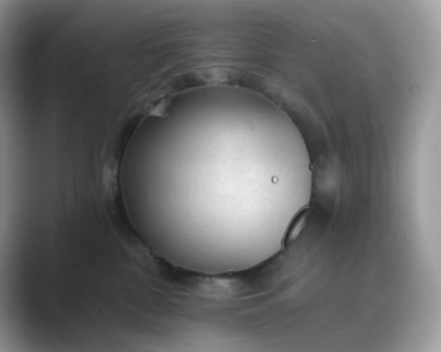 X0000089680332200707051611