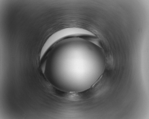 X0000089680333200707051611