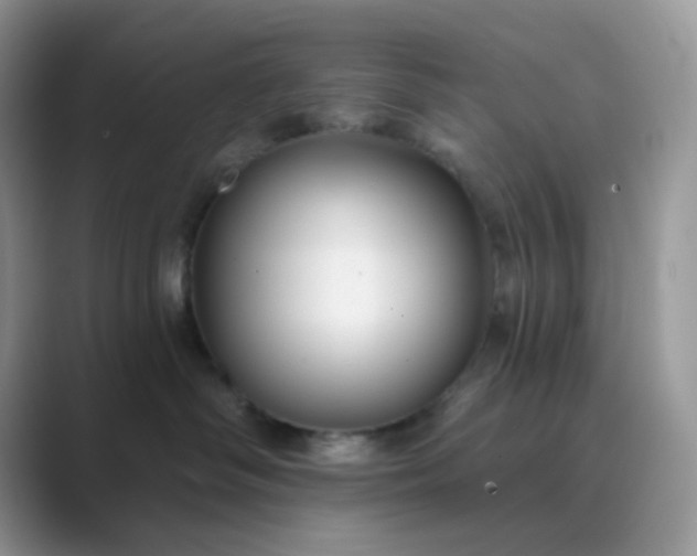 X0000089680334200707051611