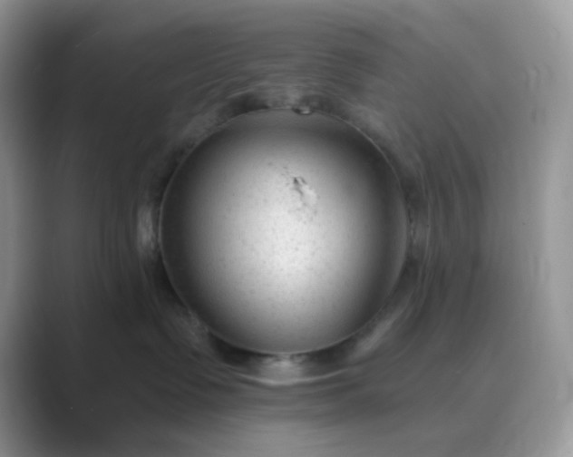 X0000089680335200707051611