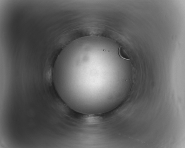 X0000089680336200707051611