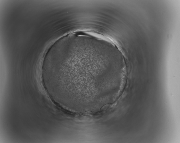 X0000089680337200707051610