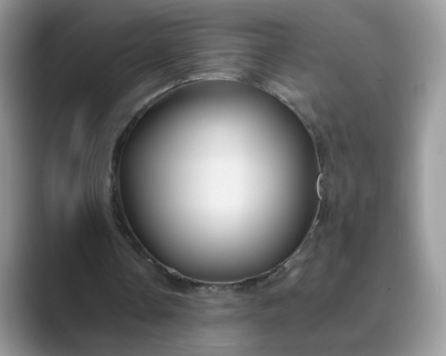 X0000089680338200707051610
