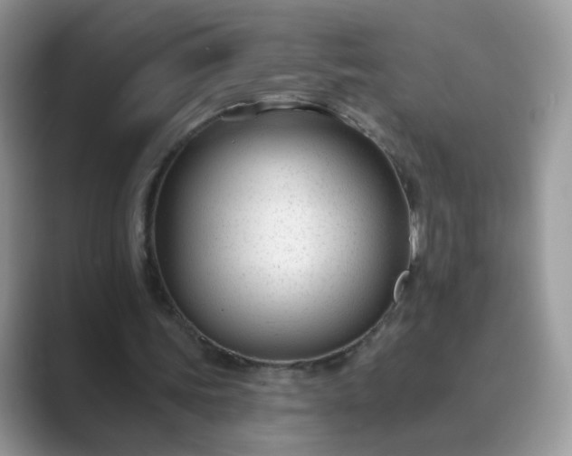 X0000089680339200707051610