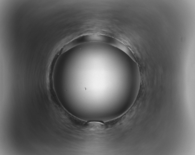 X0000089680340200707051610