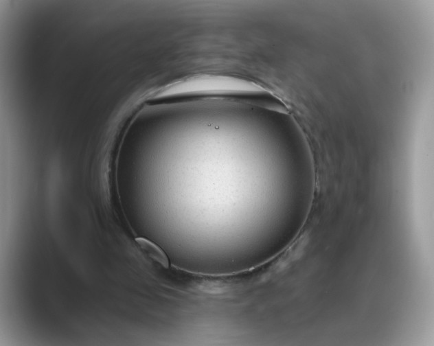 X0000089680341200707051610