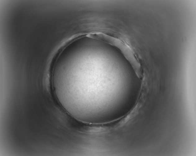 X0000089680342200707051610