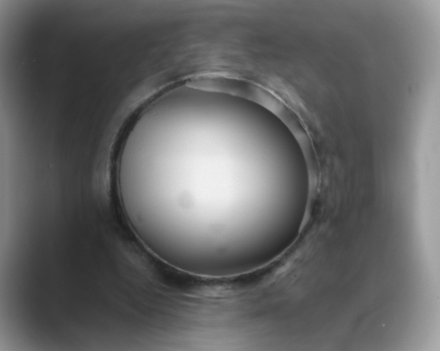 X0000089680344200707051610