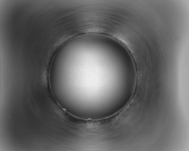X0000089680345200707051610