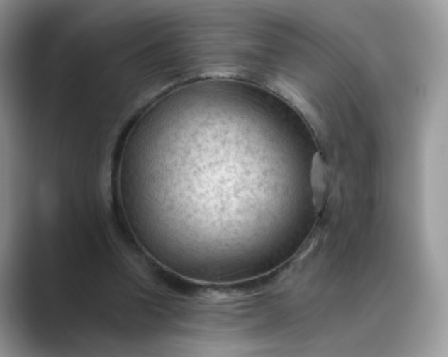 X0000089680346200707051610