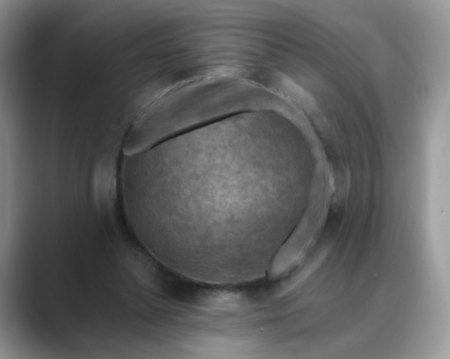X0000089680348200707051610