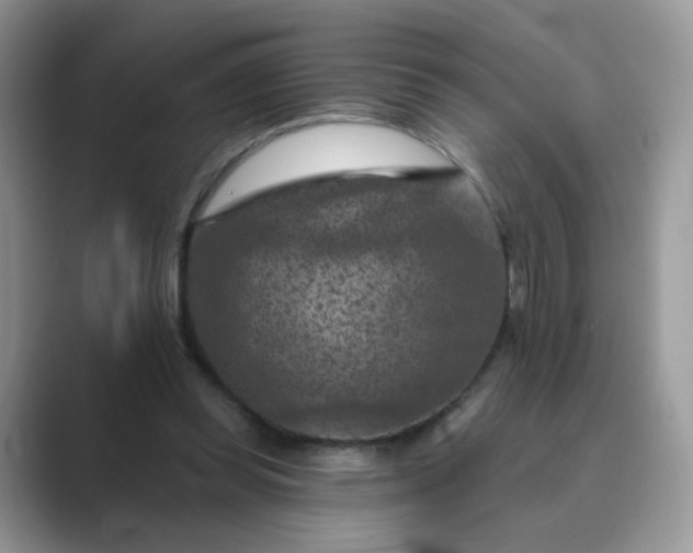X0000089680349200707051610