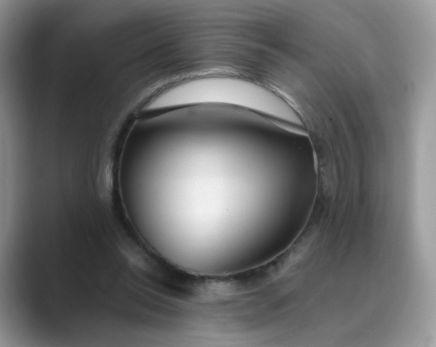 X0000089680350200707051610