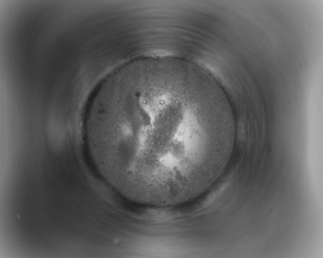 X0000089680351200707051610