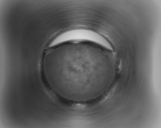 X0000089680352200707051610
