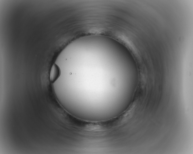 X0000089680354200707051610