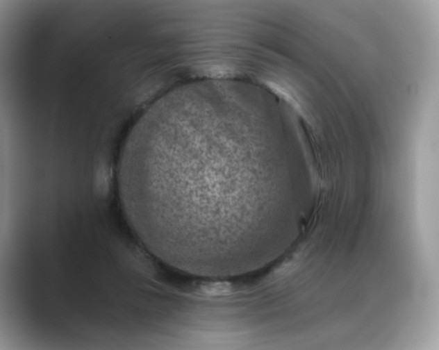 X0000089680355200707051610