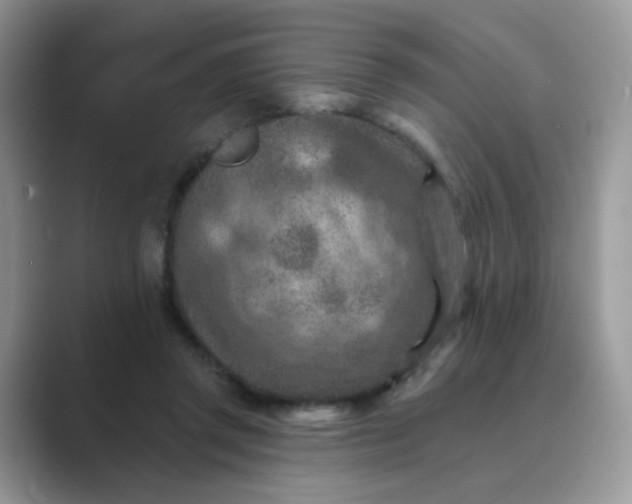 X0000089680357200707051611