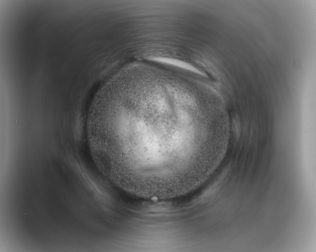 X0000089680359200707051611