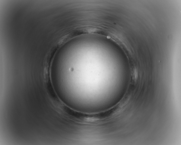 X0000089680360200707051611