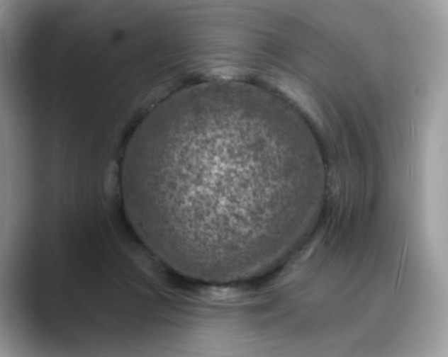 X0000089680361200707051611
