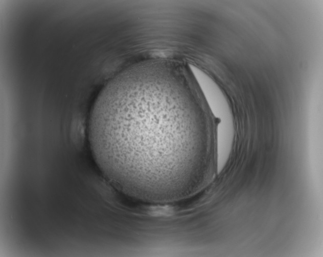 X0000089680363200707051611