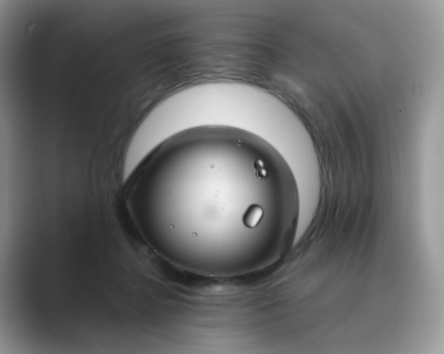 X0000089680364200707051611
