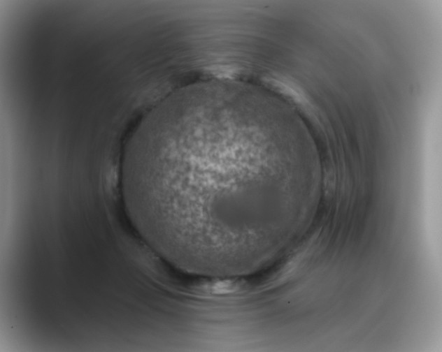 X0000089680365200707051611
